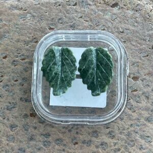 Green Jade Carved Leaf stones 10.60 carats.